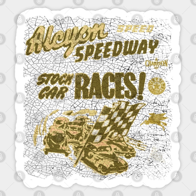 Stock Car Races Sticker by Midcenturydave